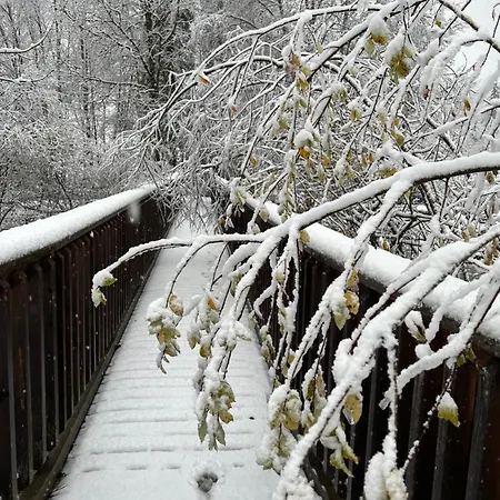 Haus Laubreuter 아파트 카프룬