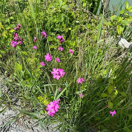 Appartamento Haus Laubreuter Kaprun