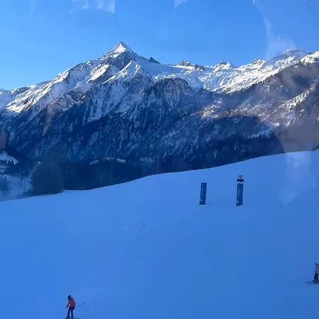 Haus Laubreuter 아파트