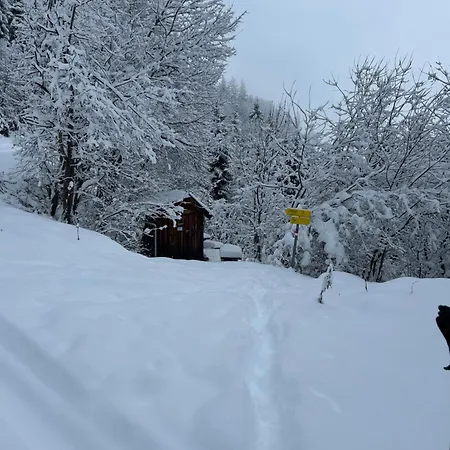 Apartamento Haus Laubreuter Kaprun