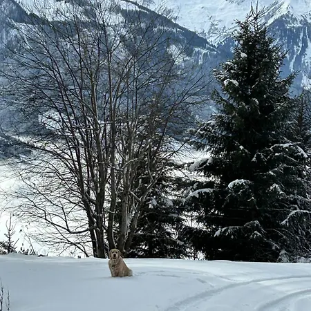 Haus Laubreuter * Kaprun